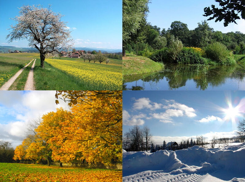 Four_seasons.jpg